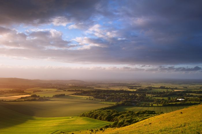 Adobe Stock 42453907 1